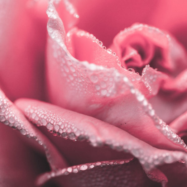 03_drops 03_drops